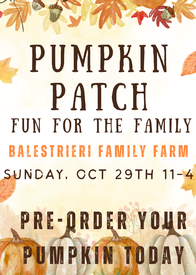 Pumpkin Patch - pumpkin pre-purchase